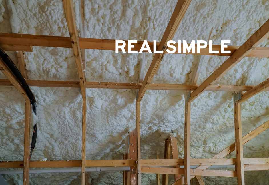 How to check for mold in your house | TMR