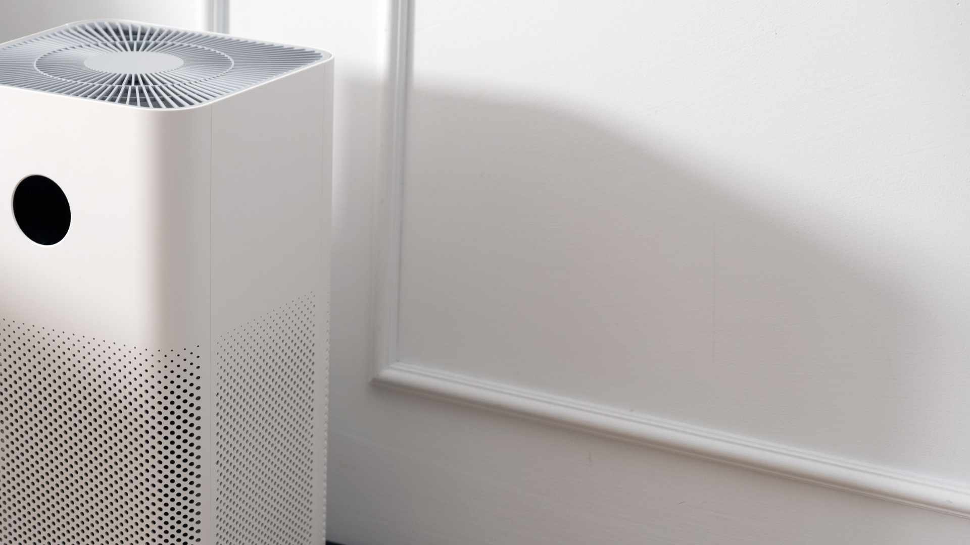 Best Air Purifiers for Mold of 2023