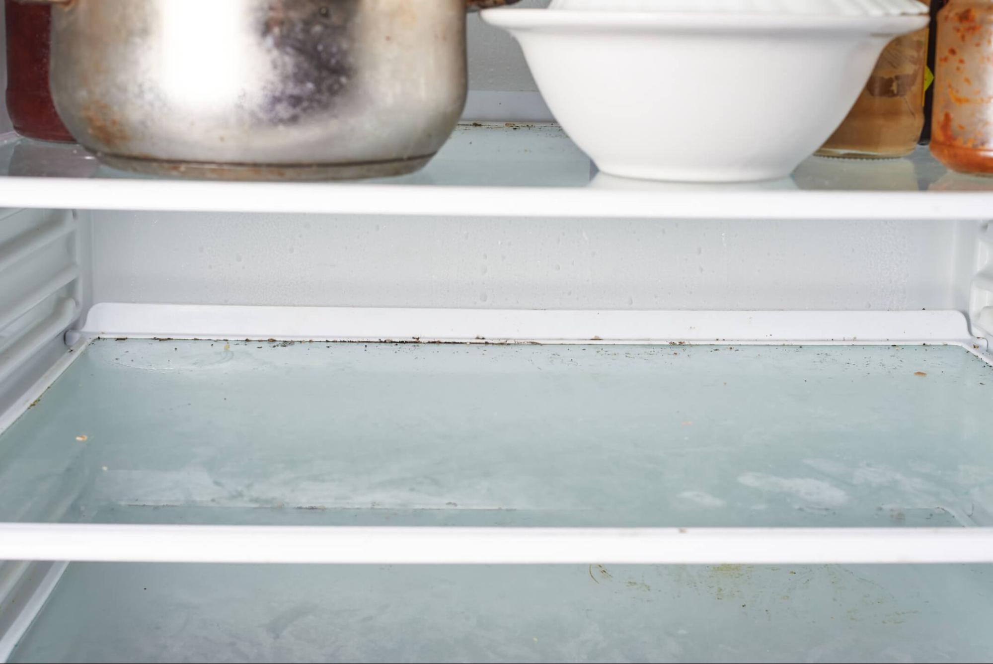 mold in the fridge